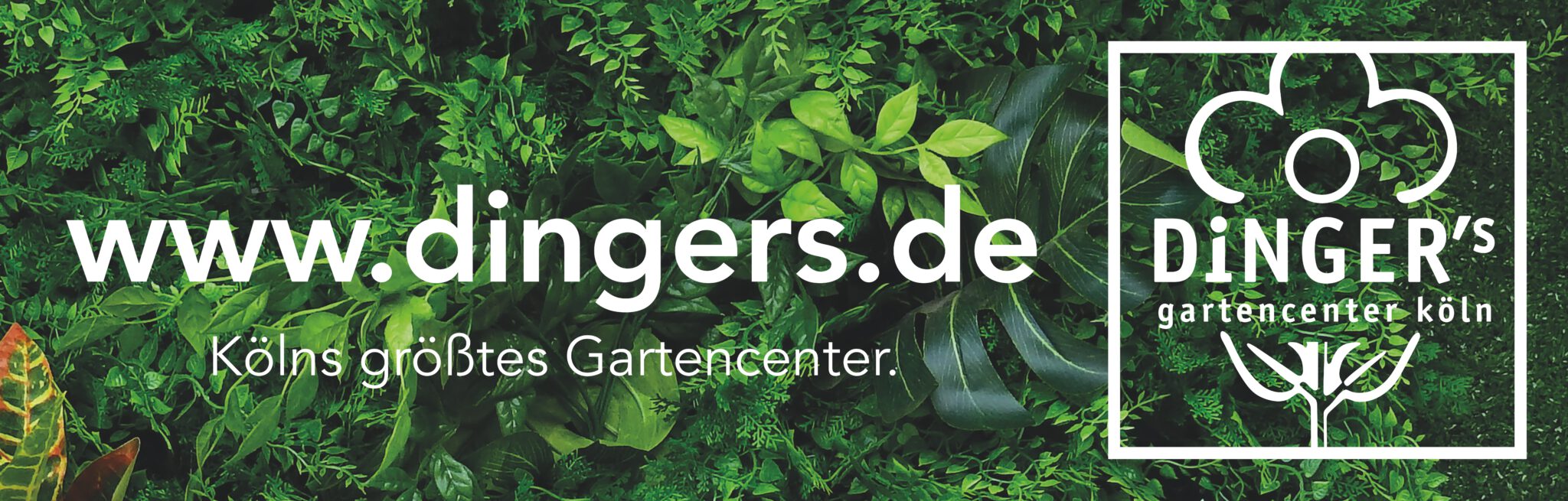 Dinger´s Gartencenter DJK Roland Köln West